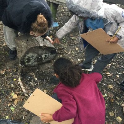 Science- habitats
